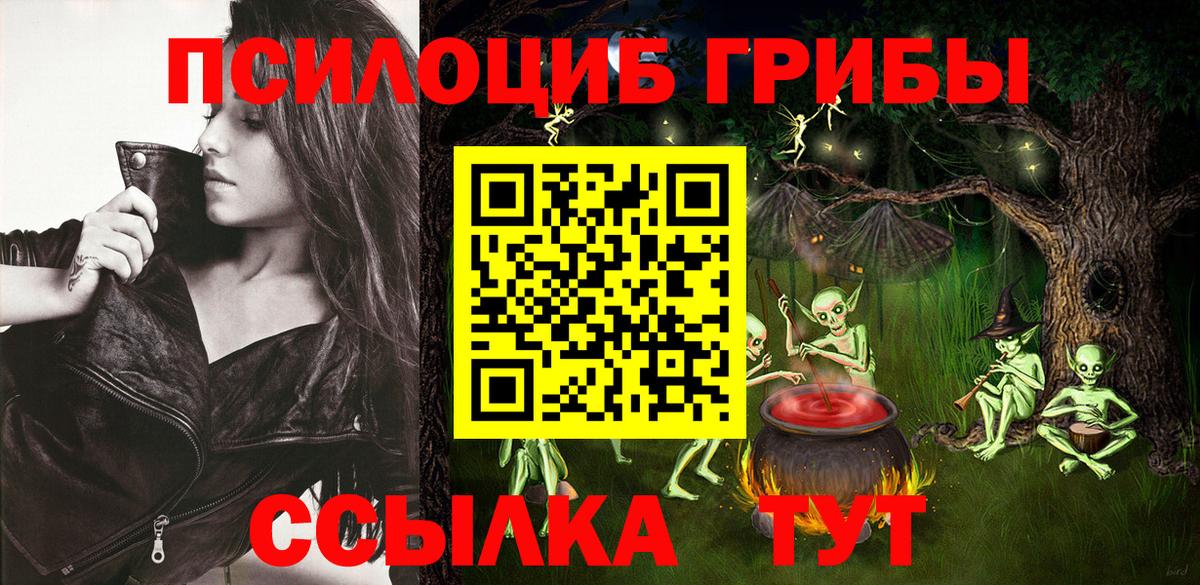 Псилоцибиновые грибы Cubensis Шатура