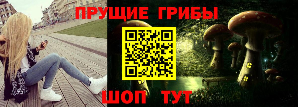 цены наркотик  Галлюциногенные грибы Psilocybe  Вход с VPN  Шатура 