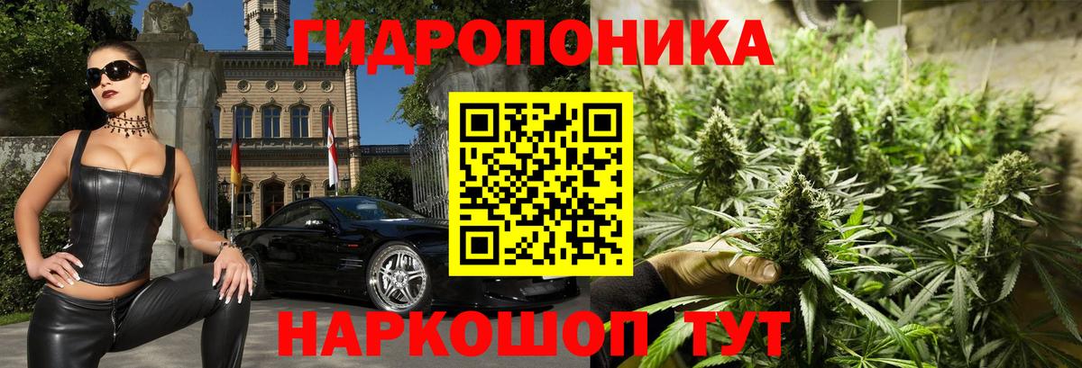 Бошки Шишки конопля  Канабис LSD WEED  Вход с VPN  Шатура 